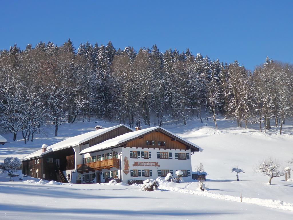 Rothenlehen Appartement *